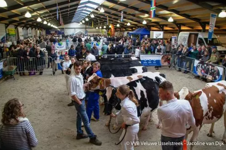 De fokveedag in Putten vond in 2019 voor het laatst plaats