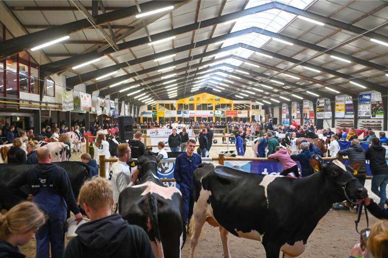 De besturen van de wintershows in Tolbert, Beilen en Middenmeer vinden het risico op verspreiding van ibr te groot om de shows dit jaar te organiseren