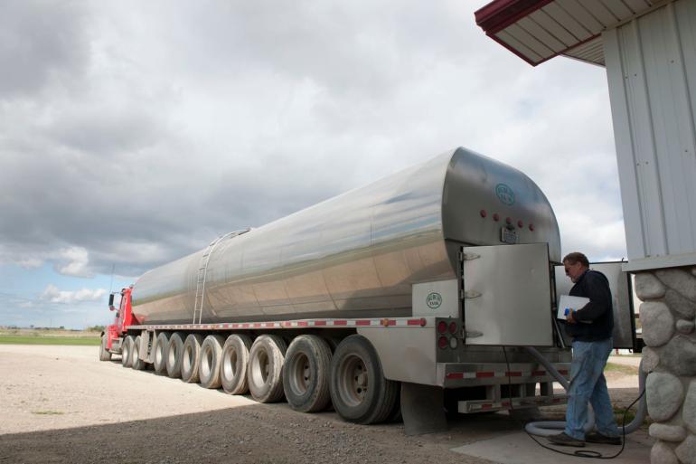 De dertien jaar oude Charlesdochter produceerde in totaal bijna 217.000 kg melk