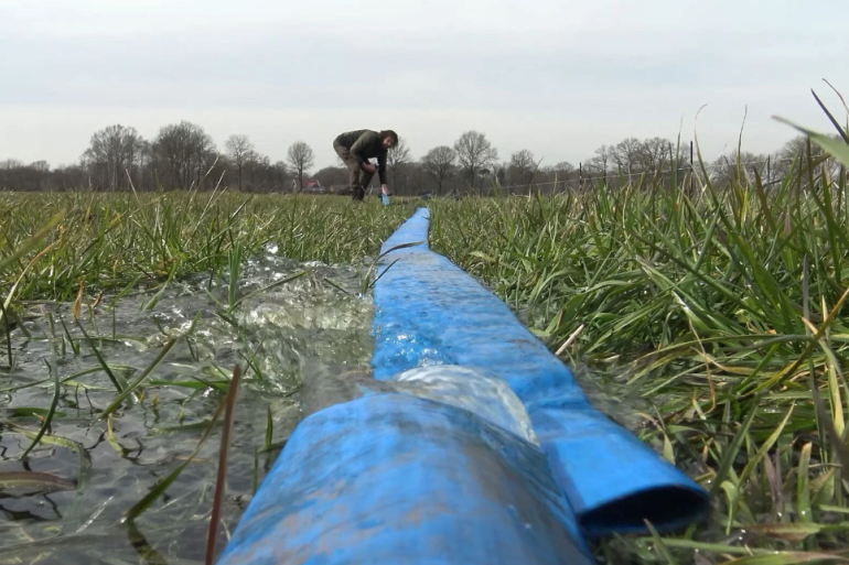 De Vogelwerkgroep Geesteren zorgt ook via bevloeing van plasdrasgebieden voor weidevogels