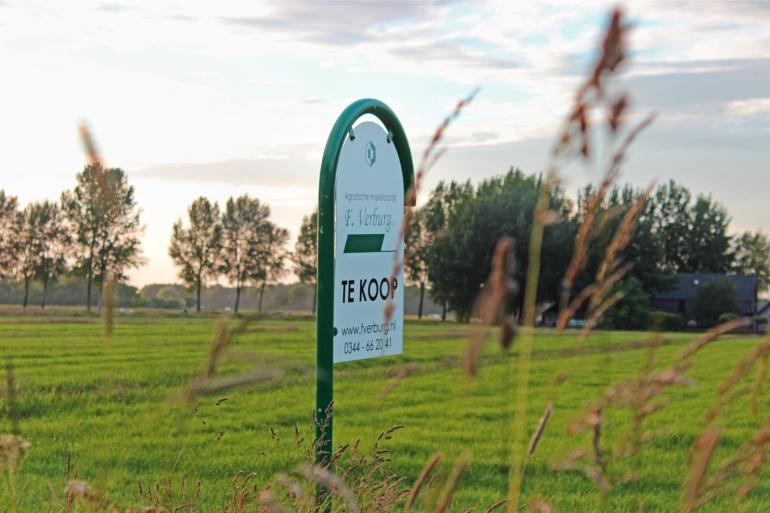 De prijs van grasland steeg met zeven procent naar ruim 66.000 euro per hectare