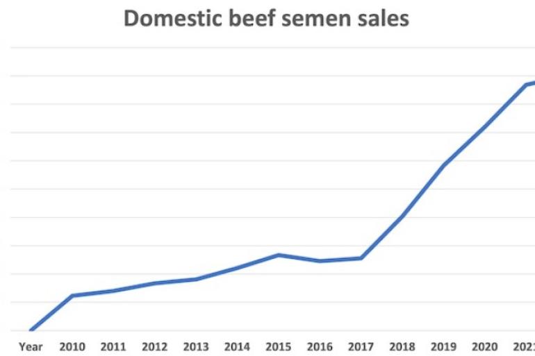 Verkoop van vleesveerietjes in de VS tussen 2010 en 2022