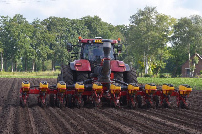 Aandachtspunten voor een geslaagde start van de teelt van maïs