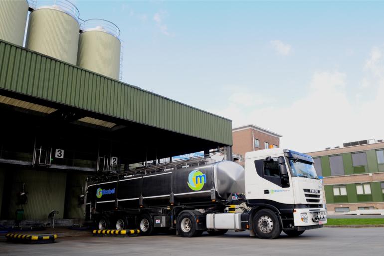De melklevering per bedrijf steeg in België afgelopen jaar naar ruim 709.000 liter