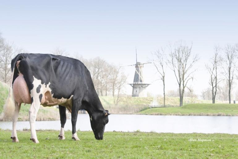 Carf Emeraude leeft nog altijd en heeft inmiddels acht excellente nakomelingen