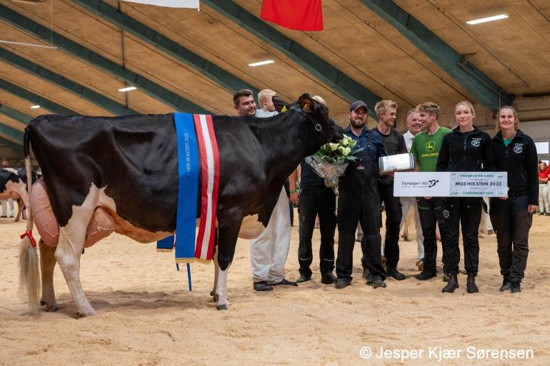 Miss Danmark 2023, een Battlecrydochter van Skovgaard Holsteins