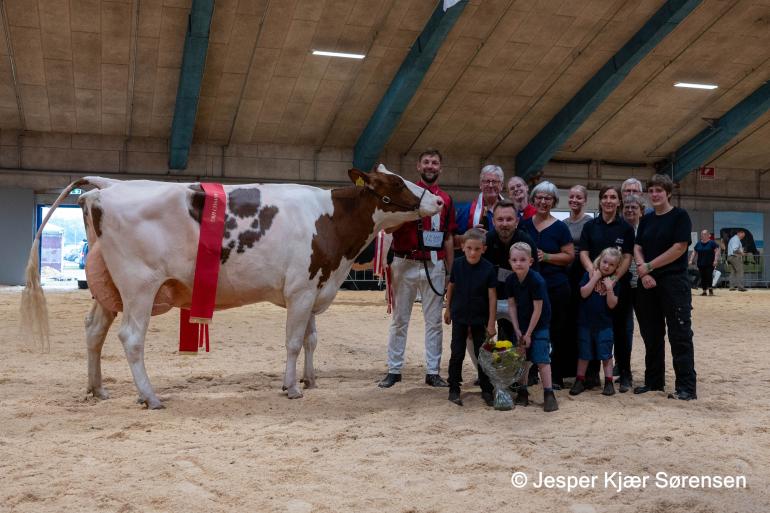 Algemeen kampioene roodbont: een Arinodochter