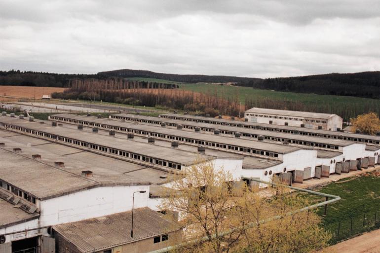 Ongeveer 20 procent van de bedrijven in het oosten van Duitsland werkt nog met stallen uit het DDR-tijdperk