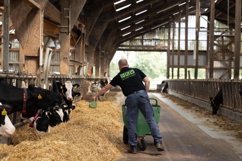 De Duitse melkveehouders Wiljan en Gisela Meilink houden 220 melkkoeien in Hoogstede