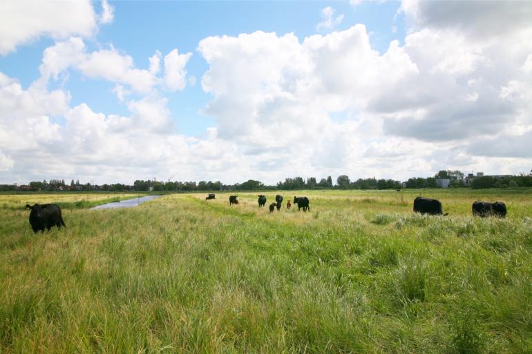 Het RIVM heeft de KDW’s voor 32 natuurgebieden verlaagd