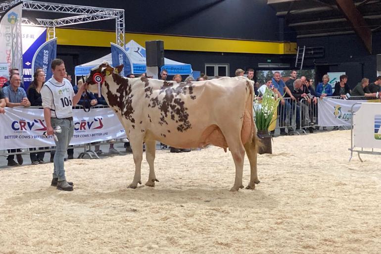 Net als op de fokveedag Espelo/Holten won Niemeijer’s Johanna 39 (v. Agent) het algemeen kampioenschap roodbont