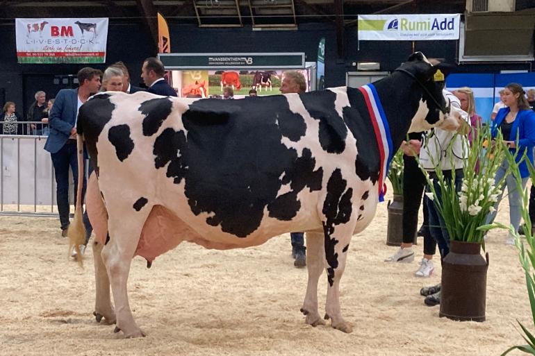 Algemeen kampioene zwartbont Zwaantje 236 (v. Goldsun) produceerde al bijna 118.000 kg melk