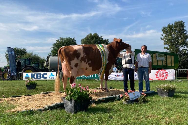 Bij roodbont legde Olaika (v. Diamondback) beslag op het algemeen kampioenschap