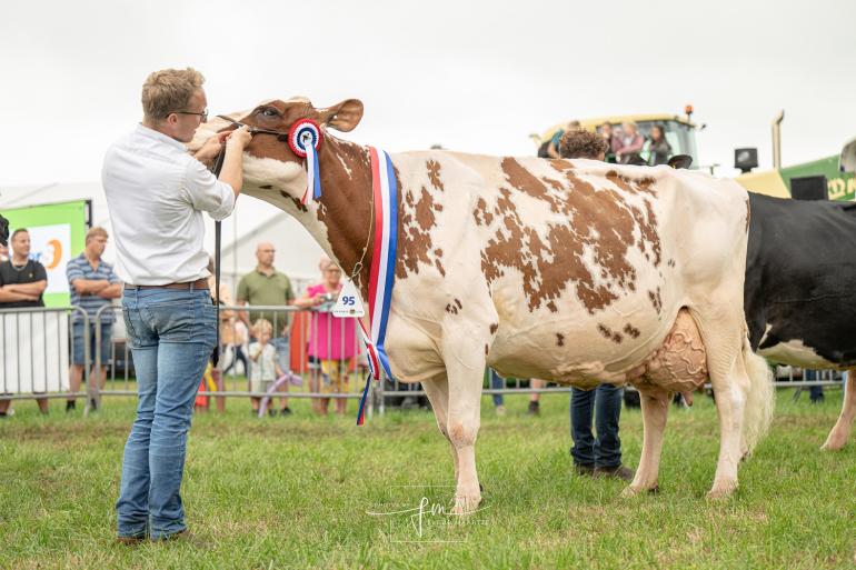 Op de Agrifair in Wierden won Irma 68 onlangs het algemeen kampioenschap