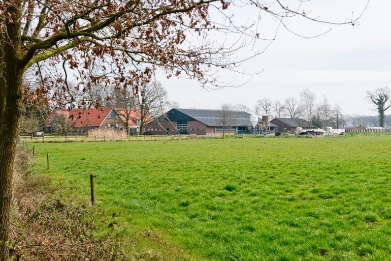 Slechts 10 procent van de ammoniakemissie slaat neer binnen 500 meter rondom de stal