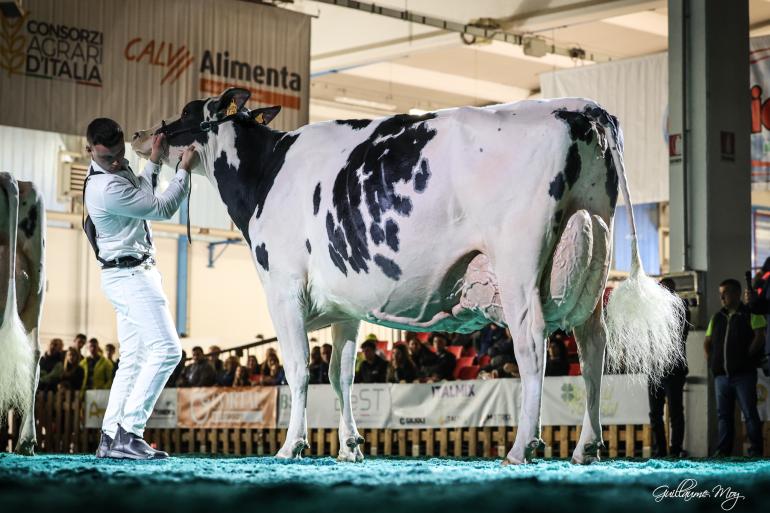 Met haar negen jaar was Sabbiona Tiky in Montichiari de oudste deelneemster