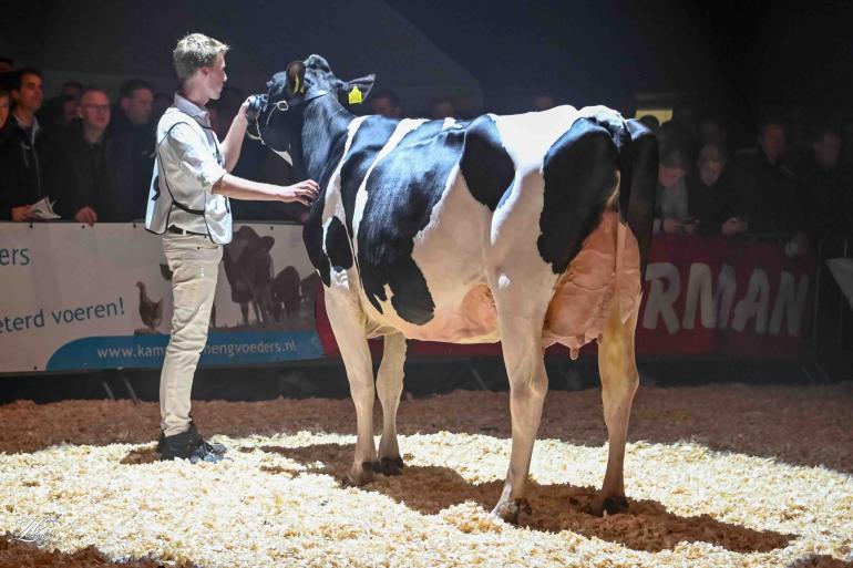 Na de vaarzentitel vorig jaar pakte Amvh Pietje 303 (v. Aristrocrat) nu de titel in de middenklasse én het algemeen kampioenschap