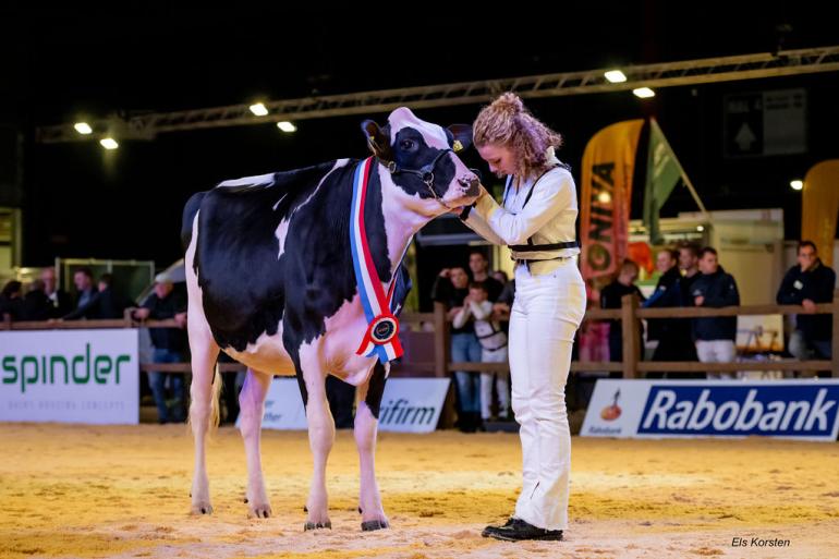 Topcross Anna 264 van maatschap Jacobi uit Garijp werd kampioen van de seniorenklasse en algemeen kampioen van de exterieurkeuring bij de Young Breederscompetitie (foto: Els Korsten)