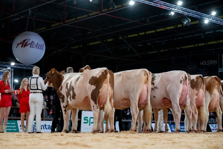 Twente Dairies Incredibull Mel (v. Incredibull) won het algemeen kampioenschap in Leeuwarden (foto: Els Korsten)