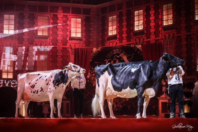 Bradnickdochter Ducasse Jaka (rechts) en Golddustdochter Ferme Verdel Nobelle (links) schrijven de Franse nationale show op hun naam (foto: Guillaume Moy)