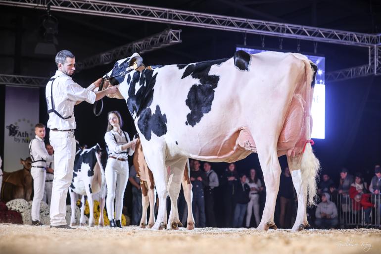 Het algemeen kampioenschap ging uiteindelijk naar Hanika de Bois Seigneur.