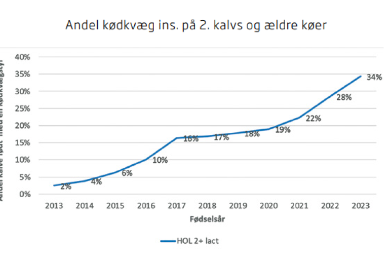 Aandeel inseminaties vleesstieren in Denemarken (bron: Dansk Holstein)