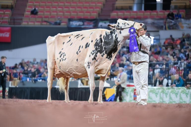 Erbacres Snapple Shakira won dit jaar het algemeen kampioenschap zwartbont in Madison