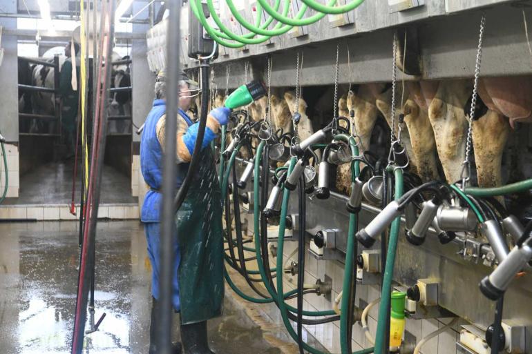 De Duitse mpr-koeien produceerden afgelopen mpr-jaar ruim 250 kg melk en 24 kg vet en eiwit meer dan vorig jaar