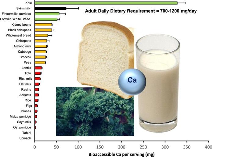 De biobeschikbare calcium in levensmiddelen vergeleken met een glas magere melk (afgebeeld in zwart) (bron: onderzoek van Muleya, Bailey en Bailey https://www.sciencedirect.com/science/article/pii/S0963996923013431?via%3Dihub#f0015 )