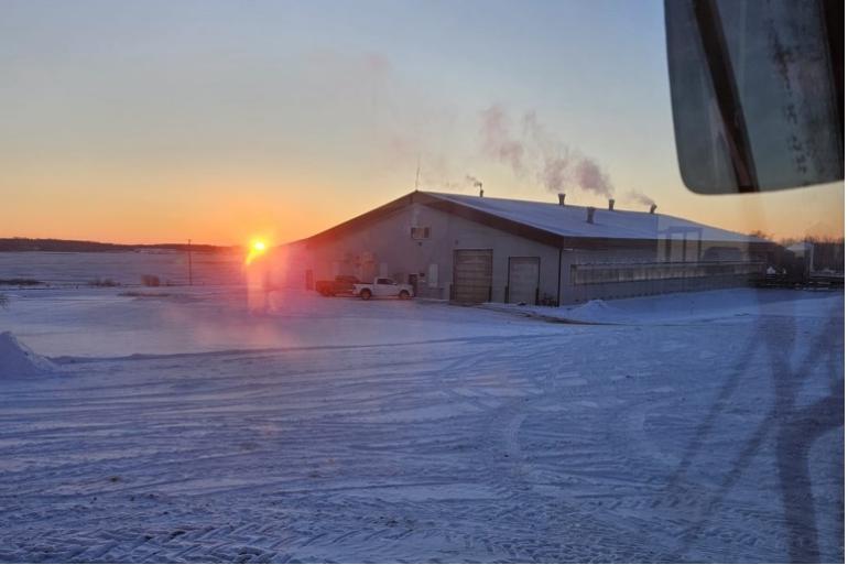 De Vlaamse emigrant Dieter Gagelmans melkt in New Sarepta (Alberta) 120 koeien met 336 ha land