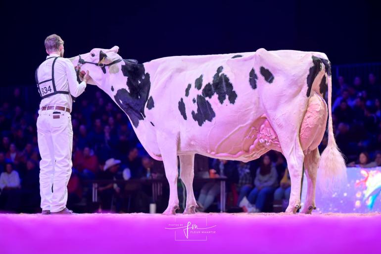 Sunibelle Dempsey Esprit won de derde titel op rij op de Swiss Expo (foto: Fleur Maartje Bakker)