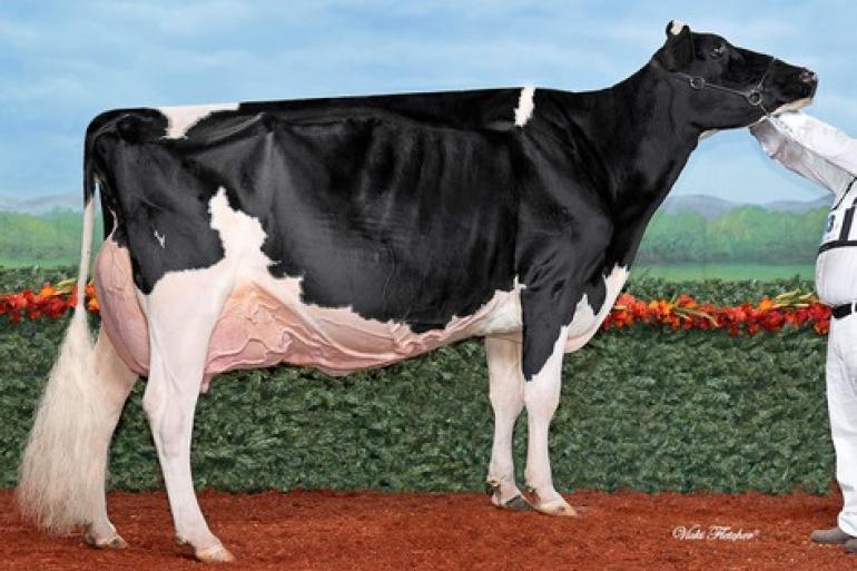 Loyalyn Goldwyn June kreeg 97 punten