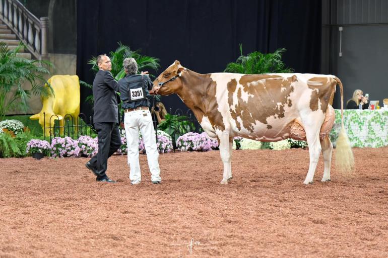 In Madison behaalde Lilly het algemeen kampioenschap roodbont (foto: Fleur Maartje Bakker)