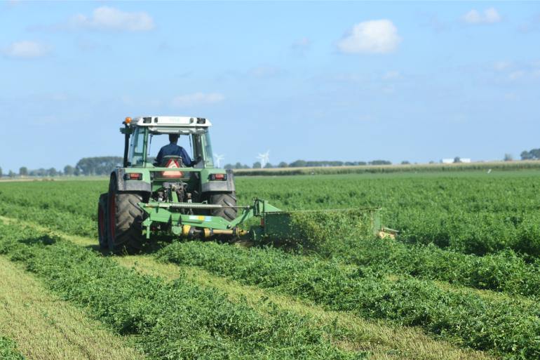 Het telen van eiwitrijke gewassen zoals luzeren valt onder de ecoregelingen