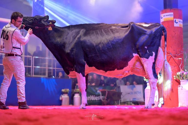 In februari won Geertje 638 het algemeen kampioenschap op de wintershow in Noordeloos (foto: Fleur Maartje Bakker)