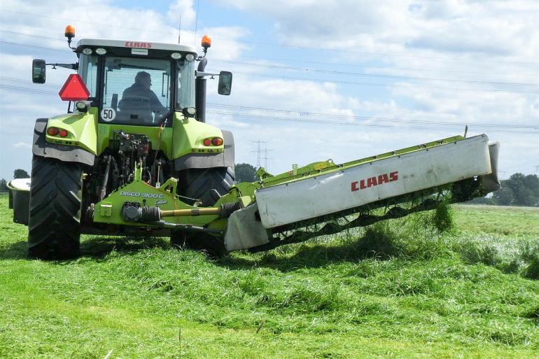 Grasland optimaliseren na de eerste snede: doorzaaien tijdens een nat voorjaar