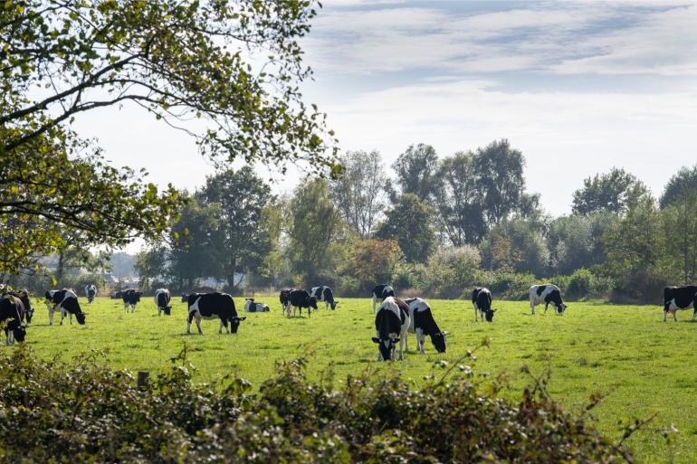 Aanmelden bij Qlip kan nog tot vandaag 15 mei, aanmelden bij RVO kan nog tot vrijdag 17 mei. Een dubbele aanmelding is nodig