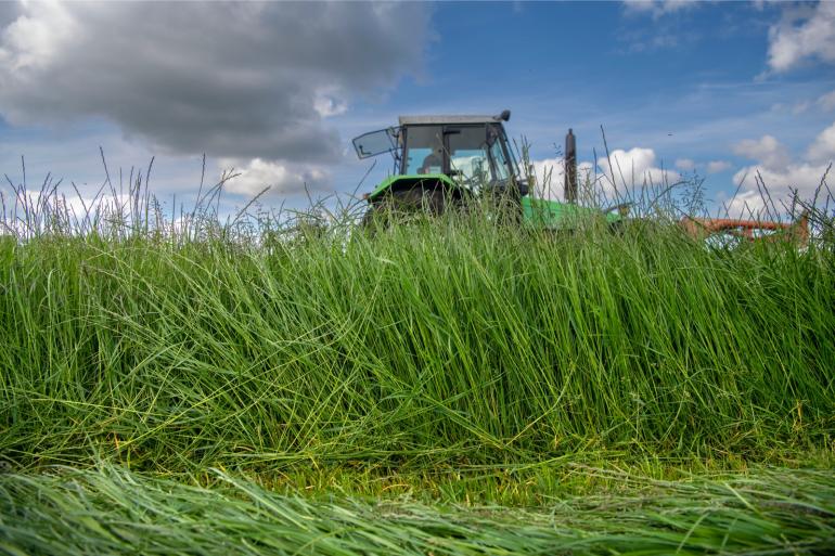 Lang gras dient bij voorkeur niet al te droog ingekuild te worden