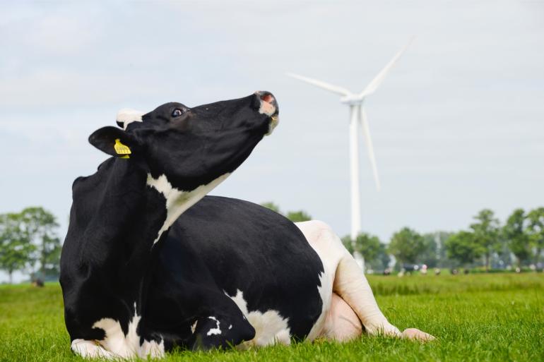 Zelf energie opwekken is een van de duurzaamheidsprestaties die beloond wordt in Foqus planet