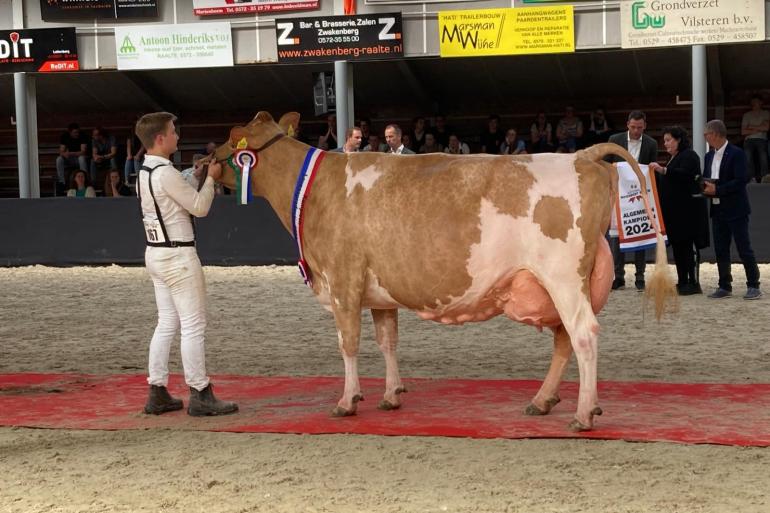 De negen keer gekalfde Bossink Miranda 113 schreef de levensproductieklasse op haar naam