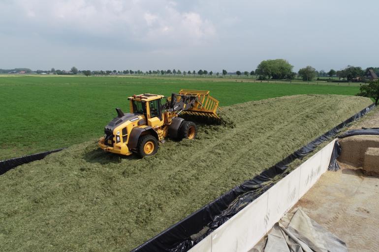 De eerste snede die nu nog op het land staat is uitgegroeid, grof, suikerarm, weinig smaakvol en lastig te verdichten. PPP Agro adviseert om het gras zo kort mogelijk te snijden en suikers of zuren toe te voegen