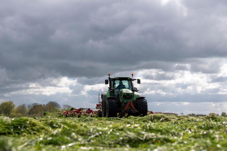 Er wordt deze week massaal gras ingekuild