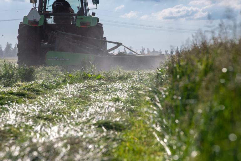 In Noord-Nederland wordt de tweede snede ingekuild 