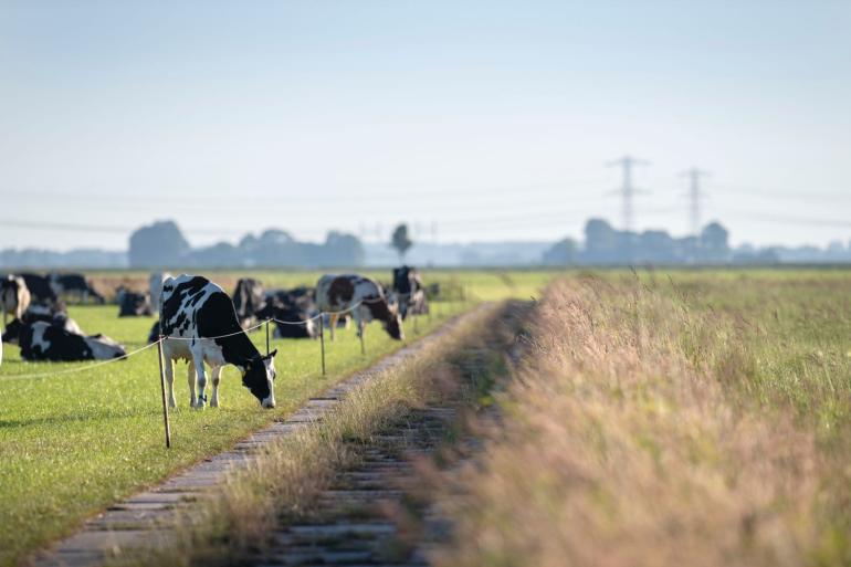 Een goed kavelpad maakt dit (voor)jaar verschil