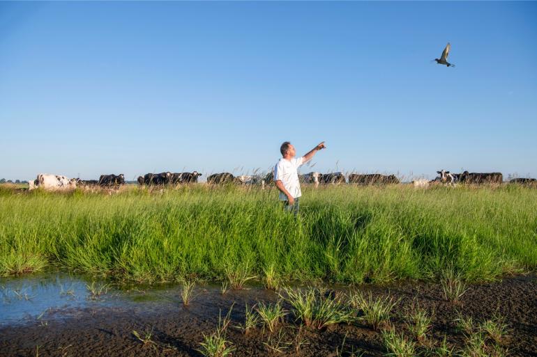 Wim van Ittersum, hier in 2022 bij zijn plasdrasperceel, zag toen veel meer activiteit van weidevogels