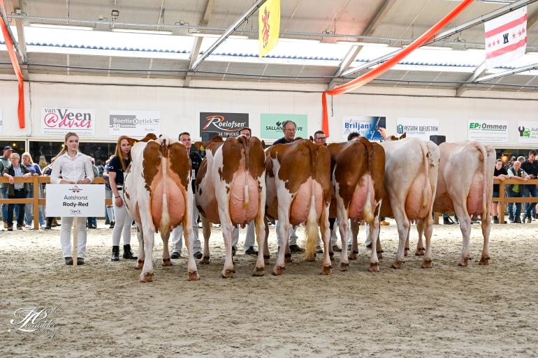 Fraai doorontwikkelde Rodydochters tonen veel duurzaamheid