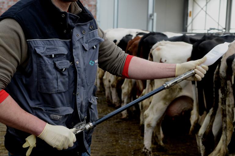 Volgens specialisten van GD is grootschalige vaccinatie de enige manier om besmettingen later dit jaar te voorkomen.