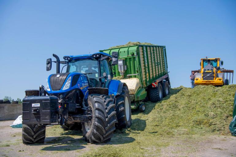 Door zes in plaats van vier keer te kuilen stijgt het vem gemiddeld met 45 (foto Mark Pasveer)