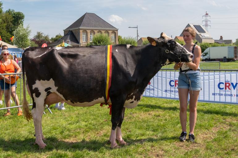 Kemdale Dropkick Belly, algemeen kampioene in Wulpen (foto Regine Foket)