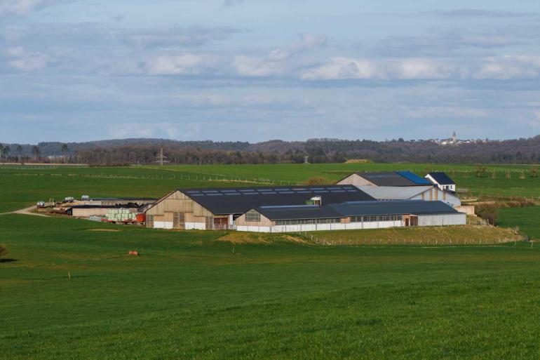 In de Waalse provincies Namen en Luxemburg hebben boeren gemiddeld achtereenvolgens 68,1 en 61,9 hectare tot hun beschikking